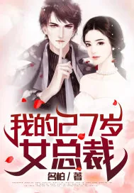 《我的27岁女总裁》小说封面