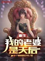 《重生我的老婆是天后》小说封面