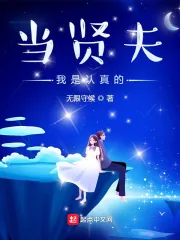 《当贤夫我是认真的》小说封面