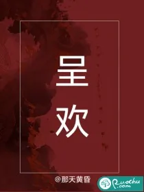 《呈欢》小说封面