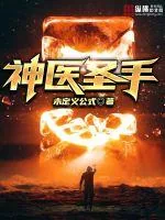 《神医圣手》小说封面