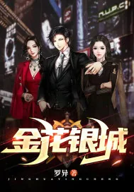 《金花银城》小说封面