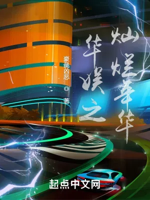 《华娱之灿烂年华》小说封面