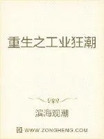 《重生之工业狂潮》小说封面
