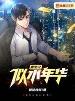 《重生之似水年华》小说封面