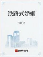 《铁路式婚姻》小说封面