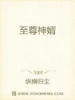 《至尊神婿》小说封面