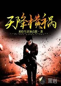 《天降横祸》小说封面
