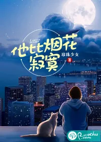 《他比烟花寂寞》小说封面