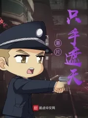 《港片只手遮天》小说封面