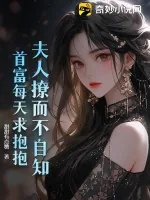 《夫人撩而不自知,首富每天求抱抱》小说封面