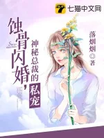 《蚀骨闪婚：神秘总裁的私宠》小说封面