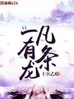 《一凡有条龙》小说封面