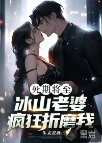 《死期将至，冰山老婆疯狂折磨我》小说封面