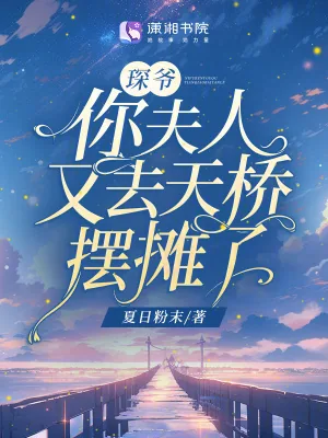 《琛爷,你夫人又去天桥摆摊了》小说封面