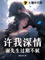 《许我深情，谢先生过期不候》小说封面