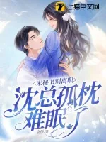 《宋秘书别离职,沈总孤枕难眠了》小说封面