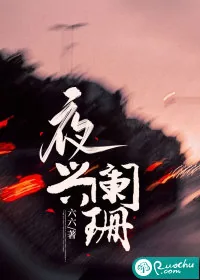 《夜兴阑珊》小说封面