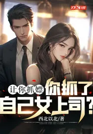 《让你抓嫖，你抓了自己女上司？》小说封面