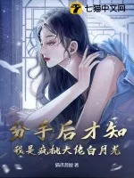 《分手后才知，我是疯批大佬白月光》小说封面