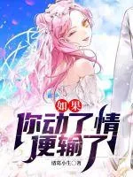 《如果你动了情便输了》小说封面