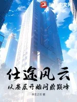 《仕途风云:从基层开始问鼎巅峰》小说封面