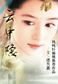 《云中隐》小说封面
