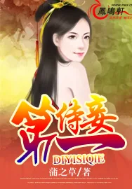 《第一侍妾》小说封面