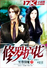 《修罗护花》小说封面