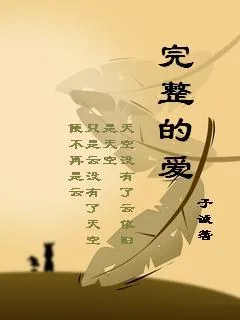 《完整的爱》小说封面
