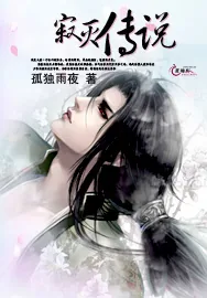 《寂灭传说》小说封面