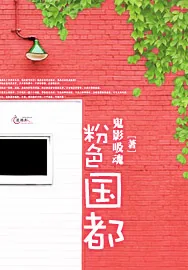 《粉色国都》小说封面