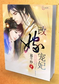 《改嫁宠妃》小说封面