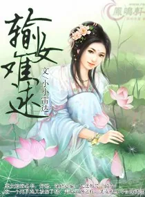 《输女难逑》小说封面