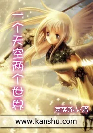 《一个天空两个世界》小说封面