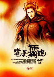 《苍天霸魂》小说封面