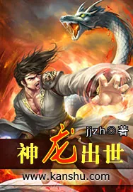 《神龙出世》小说封面