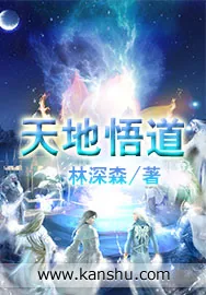《天地悟道》小说封面