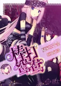 《棒打鸳鸯》小说封面