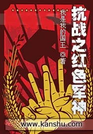 《抗战之红色军神》小说封面