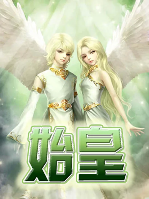 《始皇》小说封面