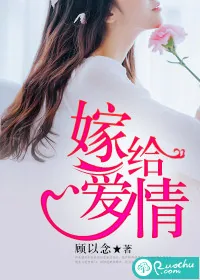 《嫁给爱情》小说封面