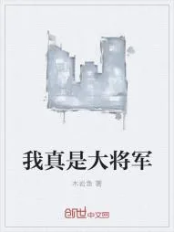 《我真是大将军》小说封面