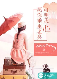 《愿你垂垂老矣,可明我心》小说封面