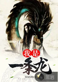 《我是一条龙》小说封面