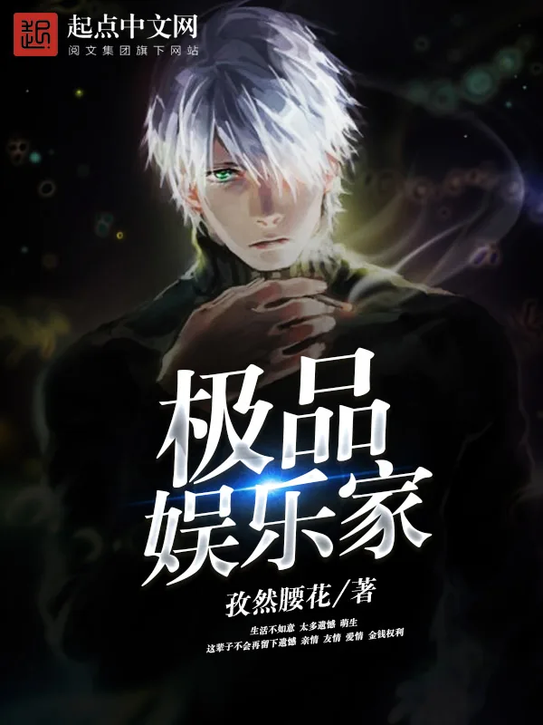 《极品娱乐家》小说封面