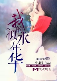 《我的似水年华》小说封面