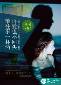 《敬往事一杯酒，再爱也不回头》小说封面