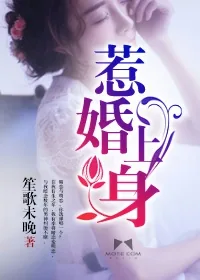 《惹婚上身》小说封面
