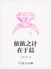 《依依之计在于晨》小说封面